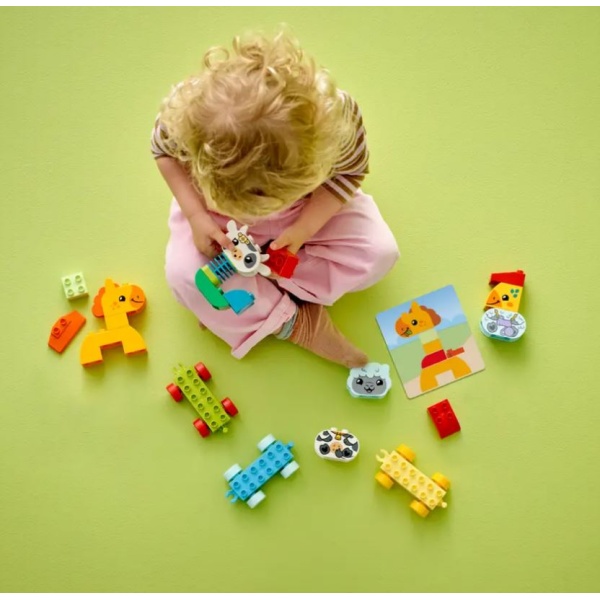LEGO 10412_5